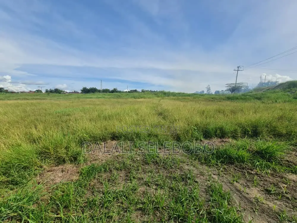 Plot Industry Sale Hecta 8 at Chalinze