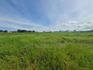 Plot Industry Sale Hecta 8 at Chalinze