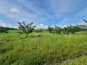 Plot Industry Sale Hecta 8 at Chalinze