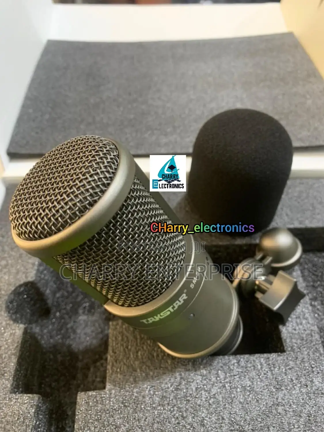 ORIGINAL TAKSTAR Professional Recording Microphone / Mic