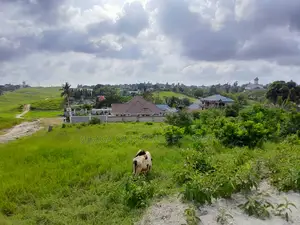 Plot for Sale at Mbezi Kwamsuguri