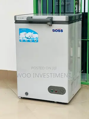 Boss Freezer Lita 100 Mpya Sanaa Clean Linapatikana. 470,000