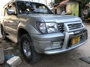 Toyota Land Cruiser 2001 Silver
