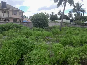 Kiwanja SQM 1028 Kizuri Sana Kinauzwa Boko Basihaya