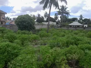 Kiwanja SQM 1028 Kizuri Sana Kinauzwa Boko Basihaya
