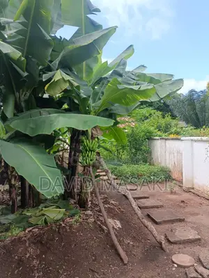 3650 Sq M Property In Oysterbay For Sale Private Ownership