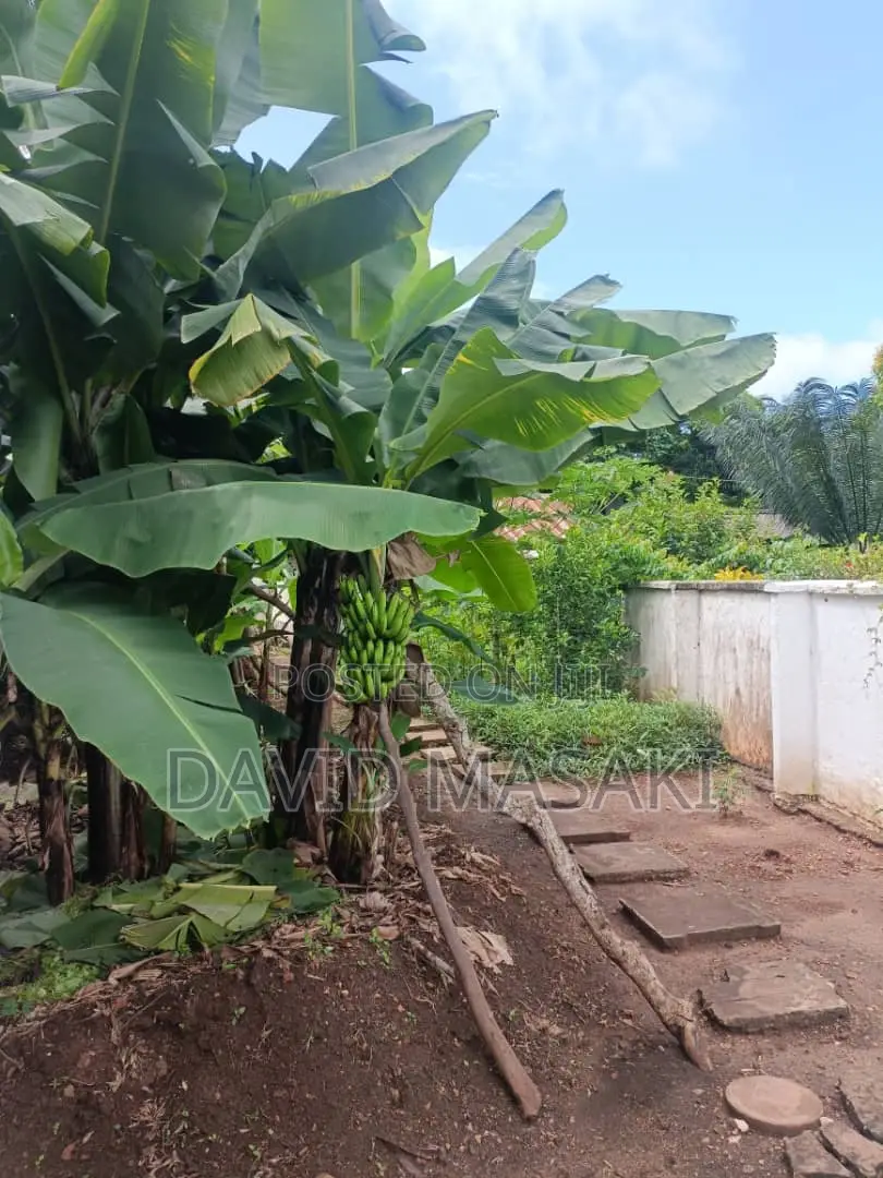 3650 Sq M Property In Oysterbay For Sale Private Ownership