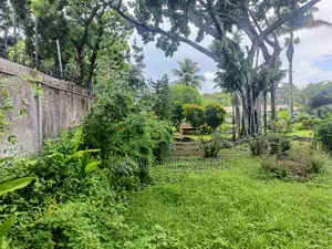 3650 Sq M Property In Oysterbay For Sale Private Ownership