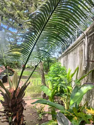 3650 Sq M Property In Oysterbay For Sale Private Ownership