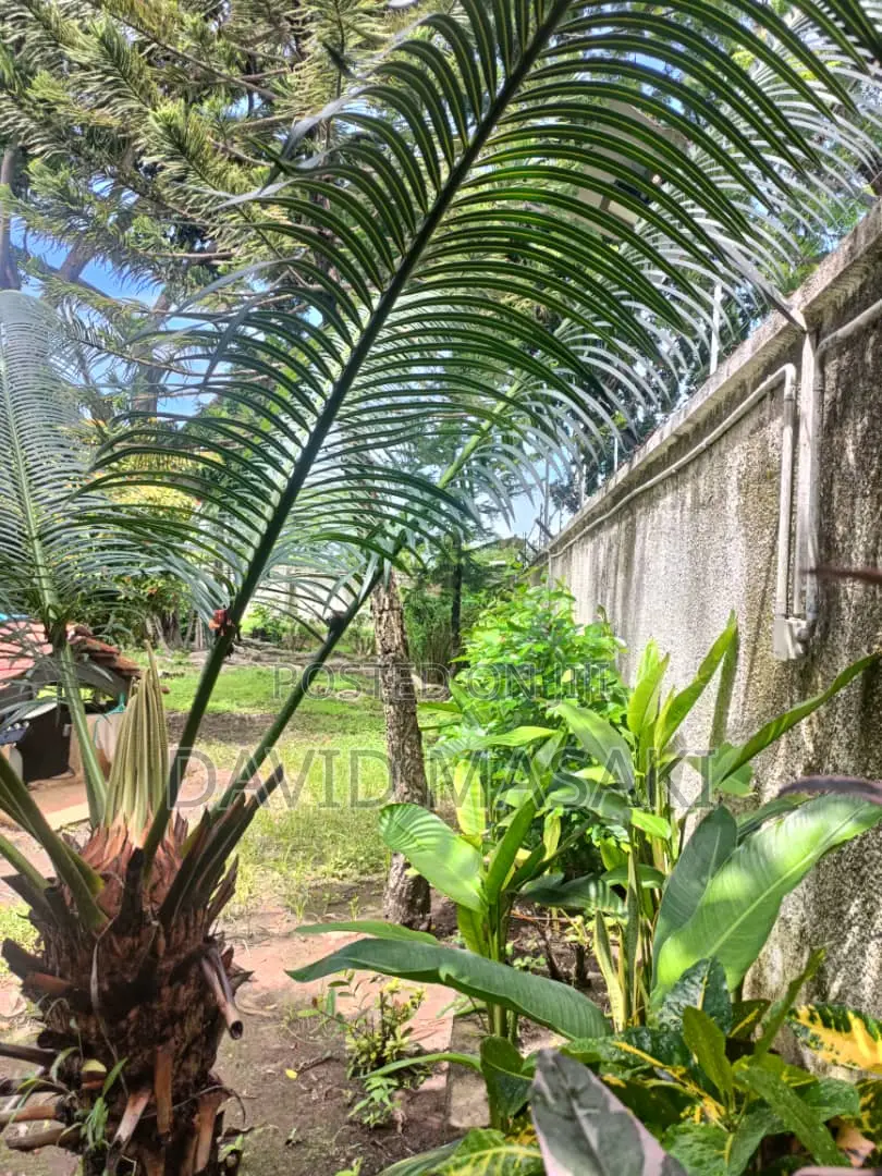 3650 Sq M Property In Oysterbay For Sale Private Ownership