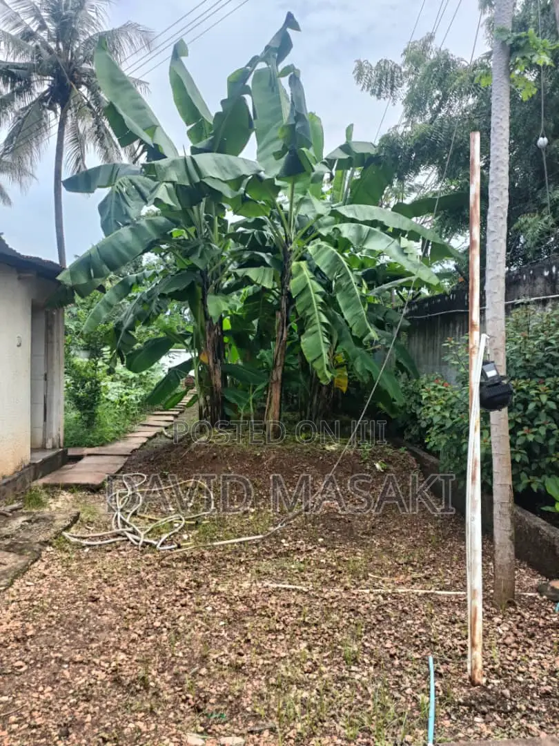 3650 Sq M Property In Oysterbay For Sale Private Ownership