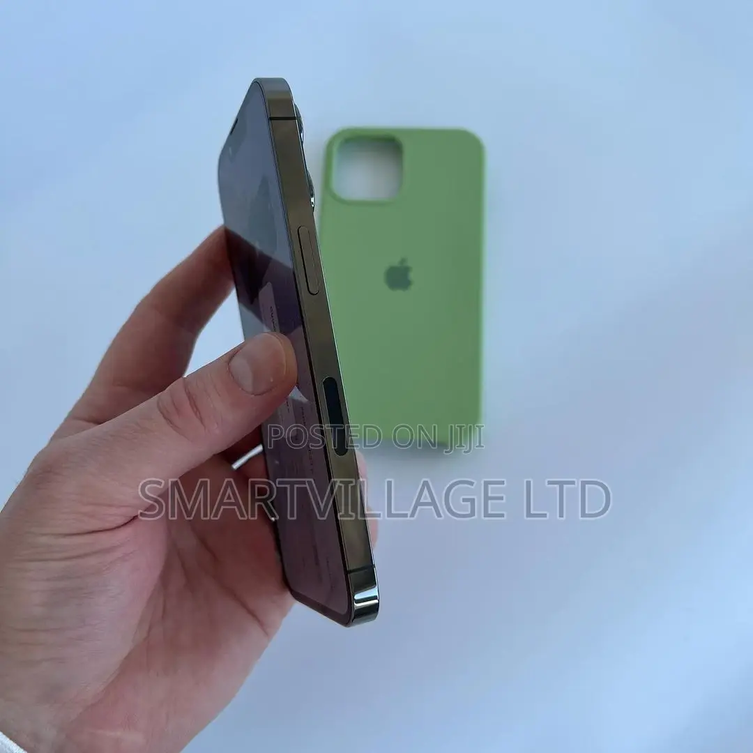 Apple iPhone 12 Pro Max 256 GB Gray
