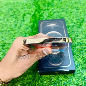 Apple iPhone 12 Pro Max 256 GB Gold
