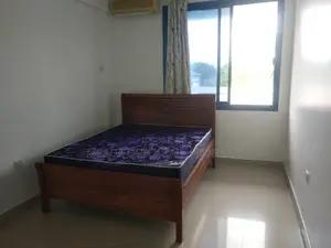 Furnished 3bdrm Apartment in Masaki for rent