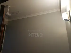 3bdrm Apartment in Kariakoo for rent