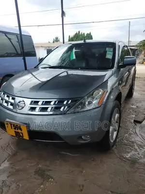 Nissan Murano 2004 Gray