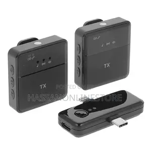 SX31 Multi-Function Dual Wireless Microphone