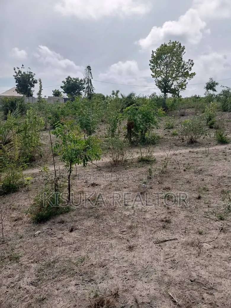 Potential Plot for Sale in Bunju Beach