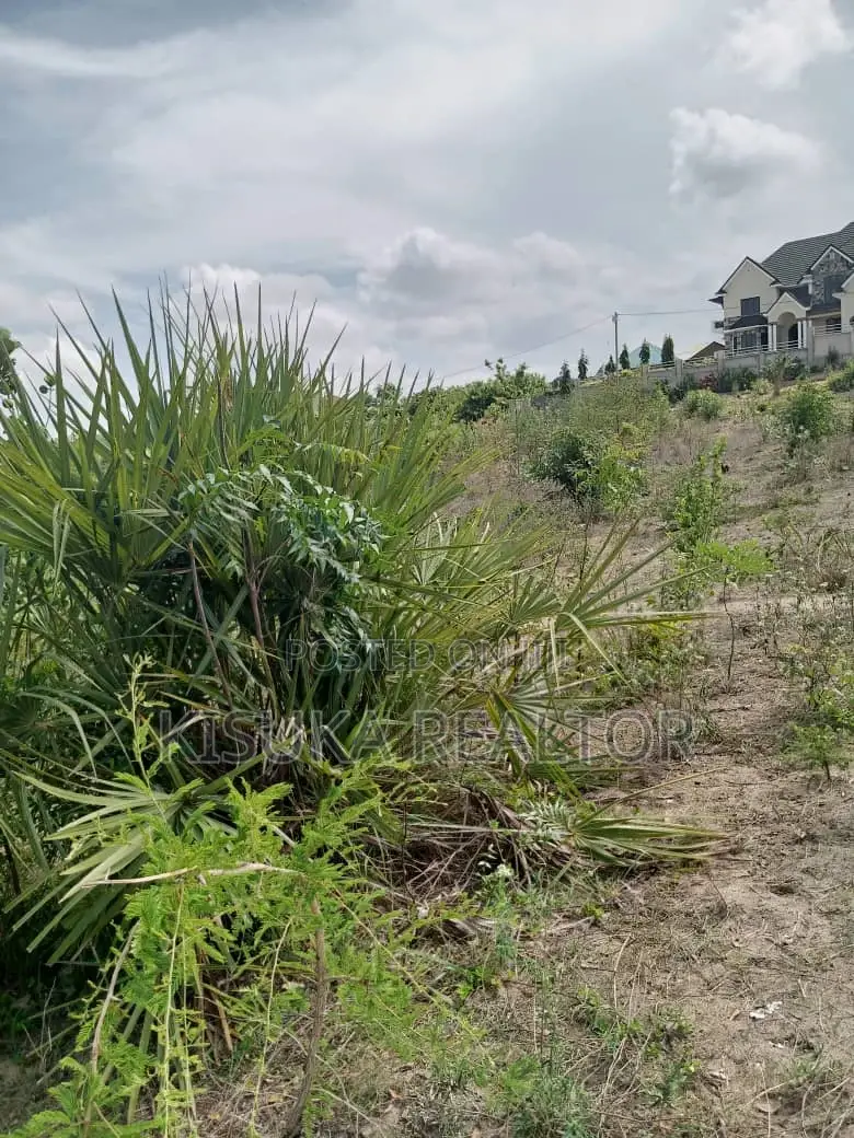 Potential Plot for Sale in Bunju Beach