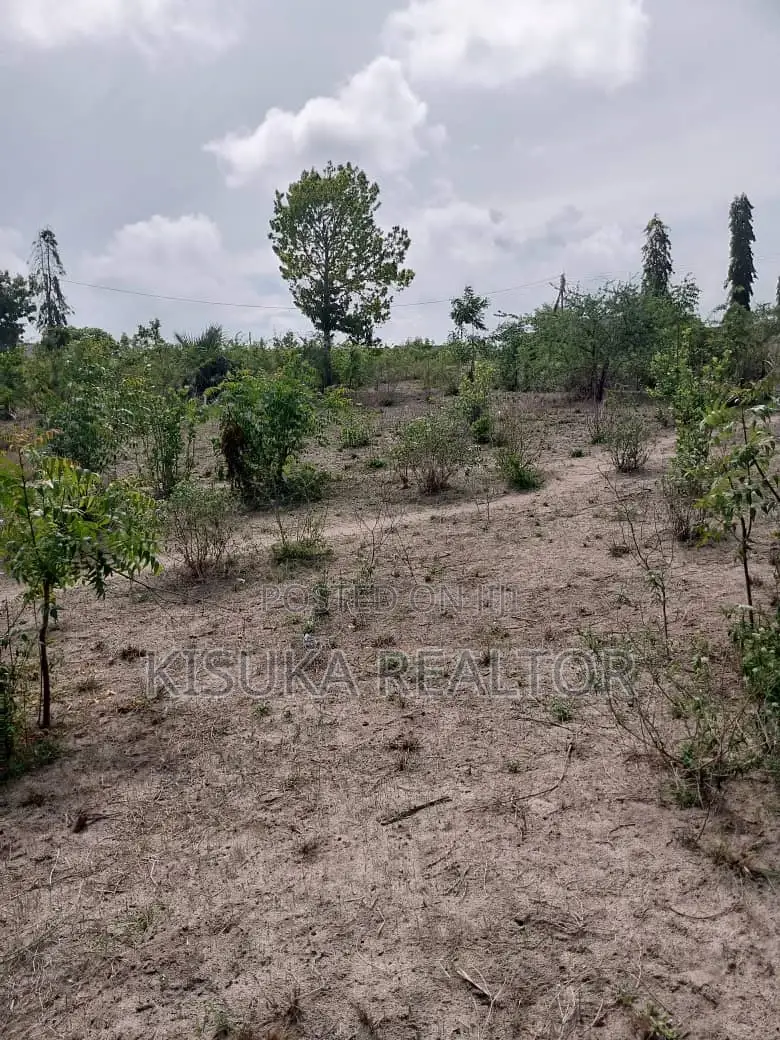 Potential Plot for Sale in Bunju Beach