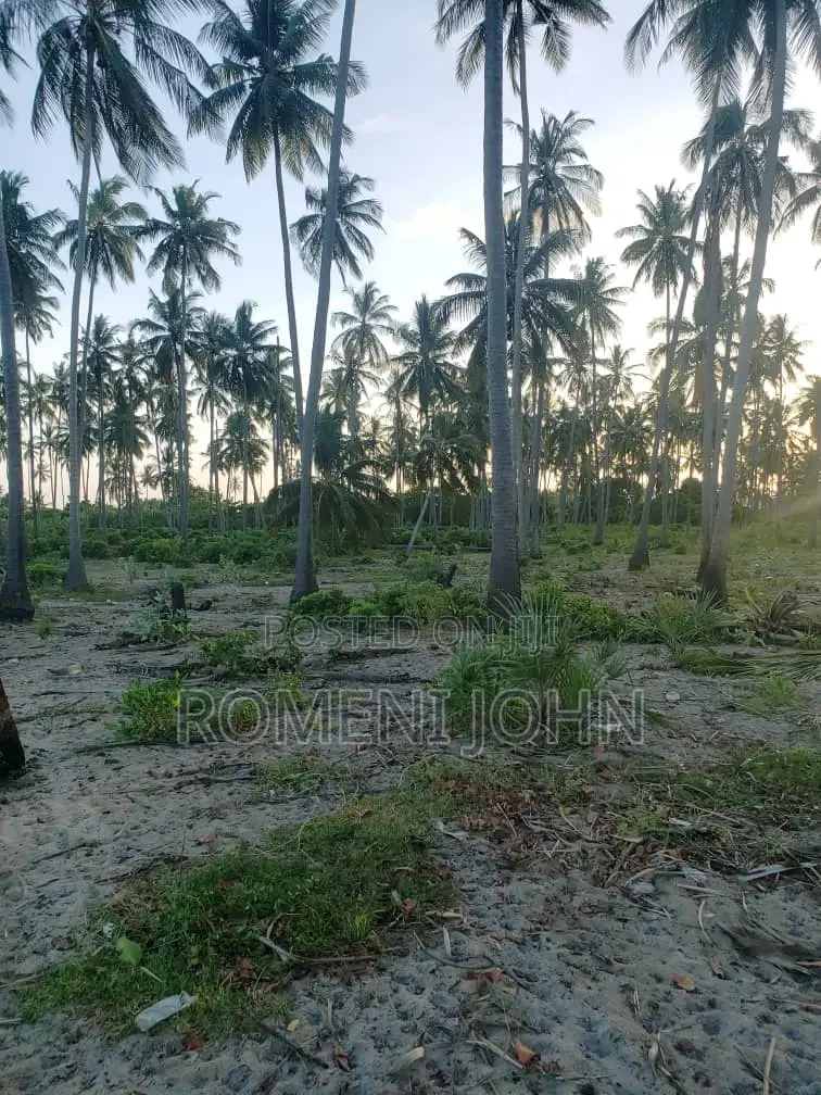 Beach Plot Heka 16 Zinauzwa Tanga Pangani Sange.