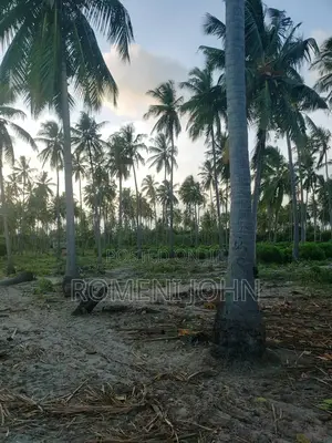 Beach Plot Heka 16 Zinauzwa Tanga Pangani Sange.