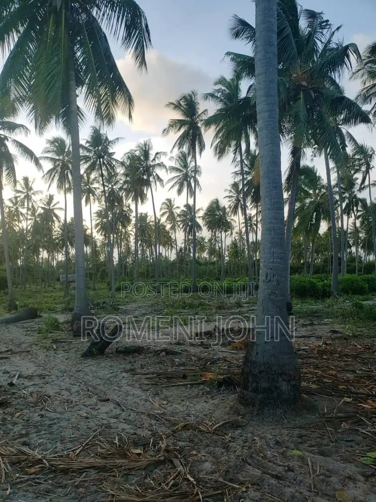 Beach Plot Heka 16 Zinauzwa Tanga Pangani Sange.