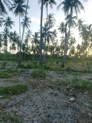 Beach Plot Heka 16 Zinauzwa Tanga Pangani Sange.