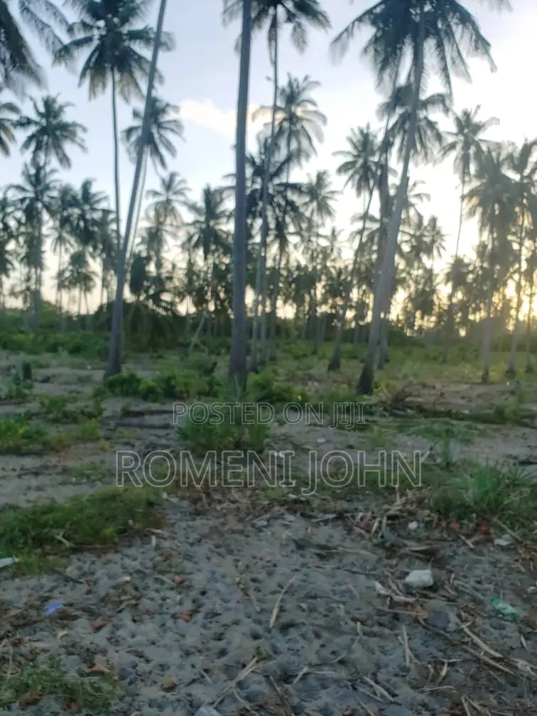 Beach Plot Heka 16 Zinauzwa Tanga Pangani Sange.