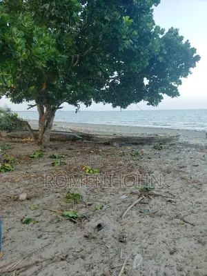 Beach Plot Heka 16 Zinauzwa Tanga Pangani Sange.