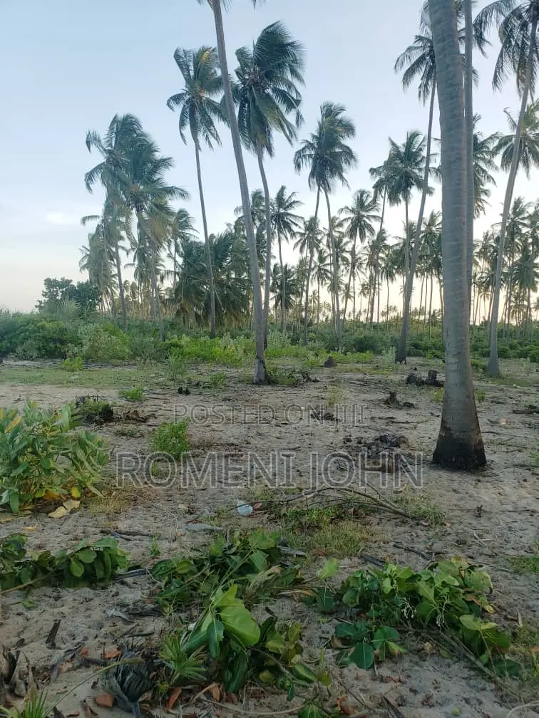Beach Plot Heka 16 Zinauzwa Tanga Pangani Sange.