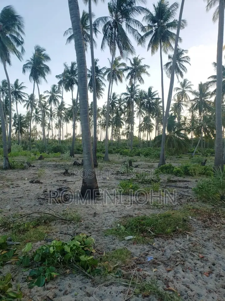 Beach Plot Heka 16 Zinauzwa Tanga Pangani Sange.
