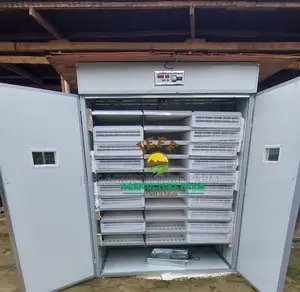 3164 Hard Body Incubator Machine