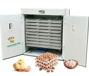 3164 Hard Body Incubator Machine