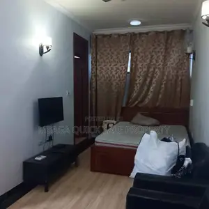 Furnished 1bdrm Apartment in Kinondoni for rent