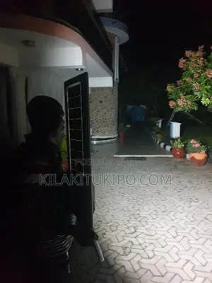 Automatic Solar Street Light
