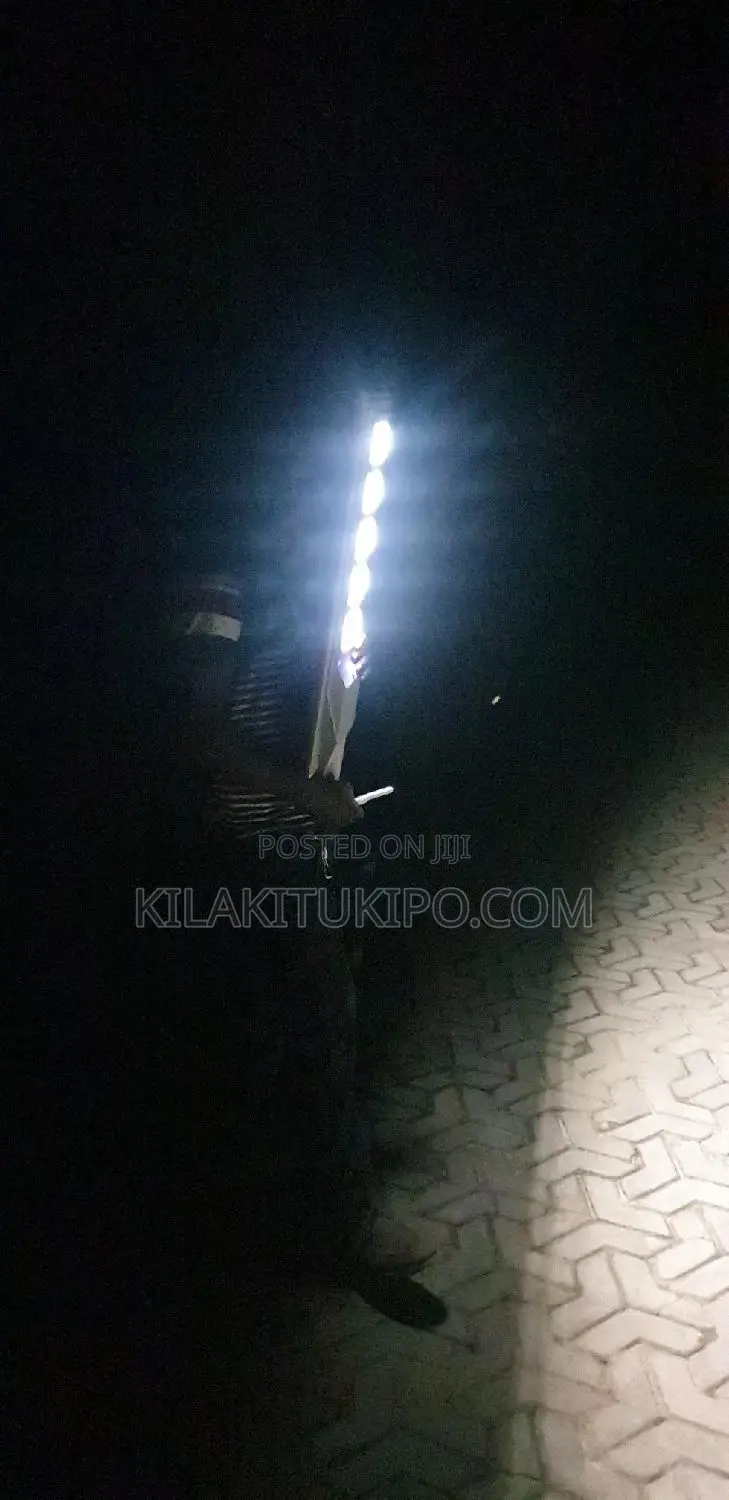 Automatic Solar Street Light