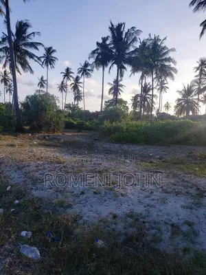 Beach Plot Heka 12 Zinauzwa at Hk 1 Ml 25 Tanga Pangani Sange