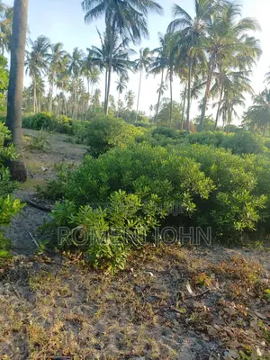 Beach Plot Heka 12 Zinauzwa at Hk 1 Ml 25 Tanga Pangani Sange