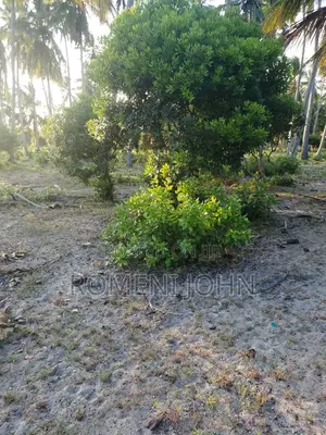 Beach Plot Heka 12 Zinauzwa at Hk 1 Ml 25 Tanga Pangani Sange