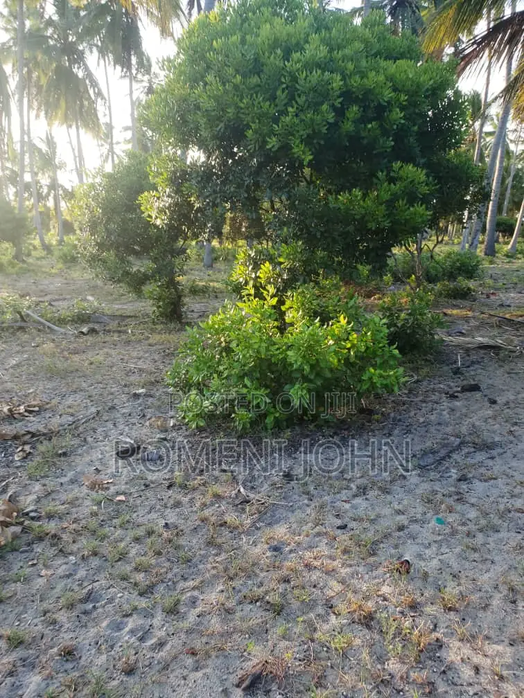 Beach Plot Heka 12 Zinauzwa at Hk 1 Ml 25 Tanga Pangani Sange