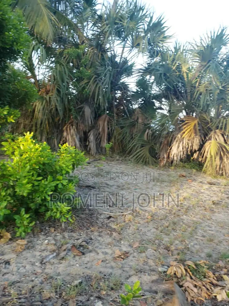 Beach Plot Heka 12 Zinauzwa at Hk 1 Ml 25 Tanga Pangani Sange