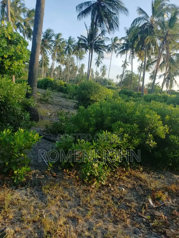Beach Plot Heka 12 Zinauzwa at Hk 1 Ml 25 Tanga Pangani Sange