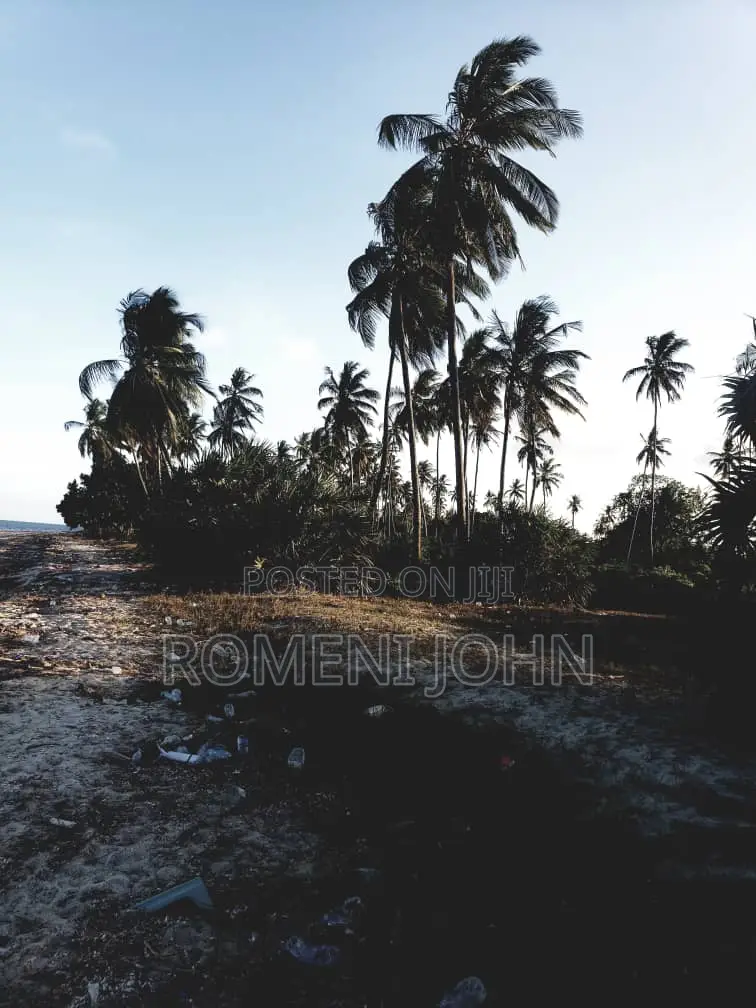 Beach Plot Heka 12 Zinauzwa at Hk 1 Ml 25 Tanga Pangani Sange