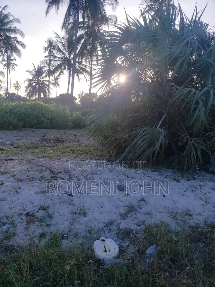 Beach Plot Heka 12 Zinauzwa at Hk 1 Ml 25 Tanga Pangani Sange