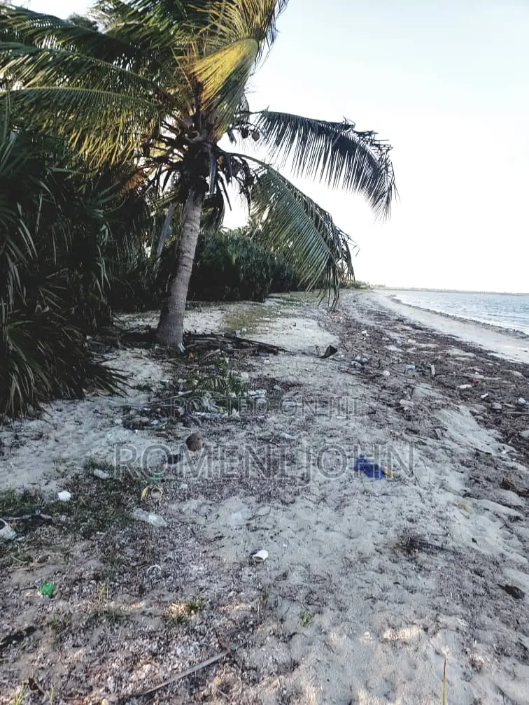 Beach Plot Heka 12 Zinauzwa at Hk 1 Ml 25 Tanga Pangani Sange