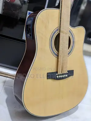 Ibanez Acoustics Guitar