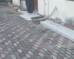 4bdrm House in My Fair Plaza, Mikocheni for rent