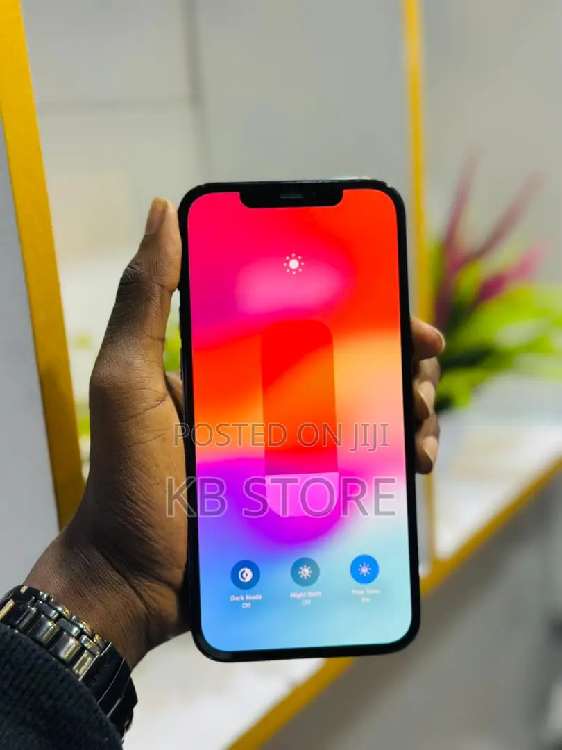 Apple iPhone 12 Pro Max 256 GB Blue
