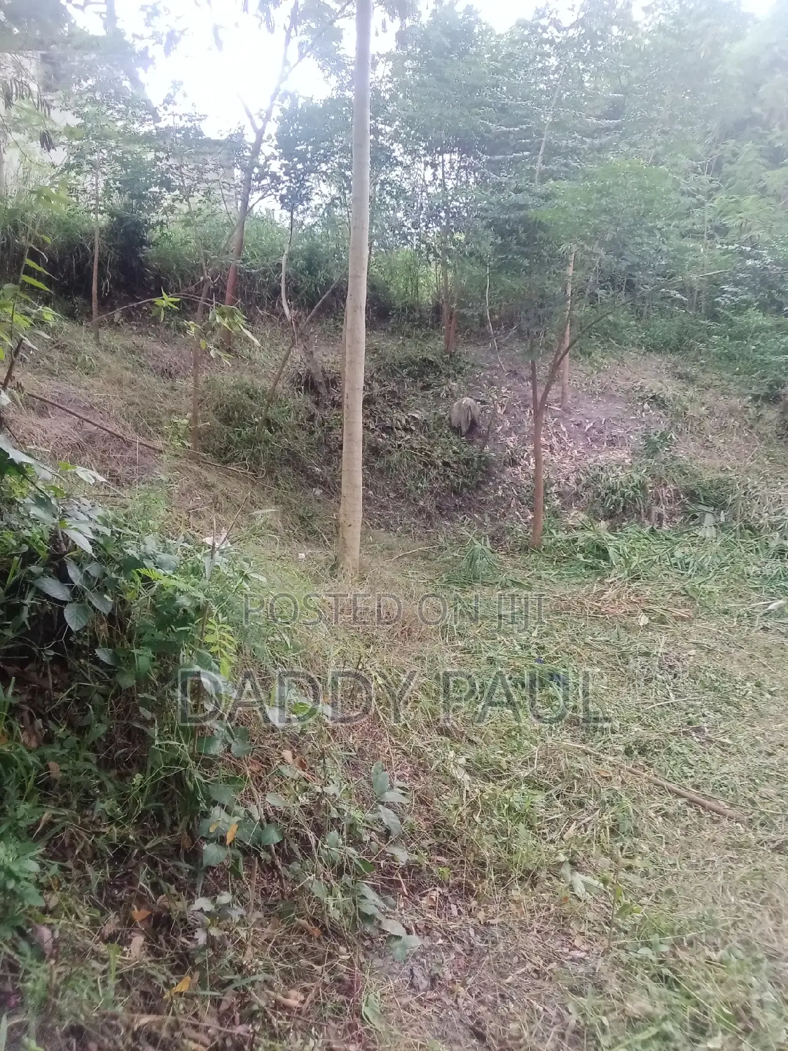 Plot For Sale At Mapinga
